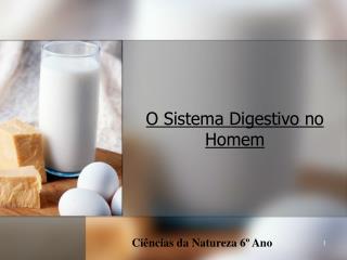 O Sistema Digestivo no Homem