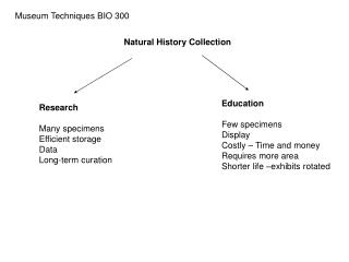 Museum Techniques BIO 300