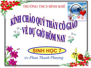 KÍNH CHÀO QUÝ THẦY CÔ GIÁO VỀ DỰ GIỜ HÔM NAY