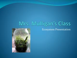 Mrs. Mulligan’s Class