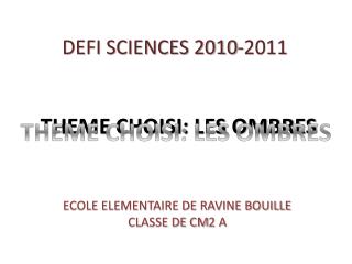 DEFI SCIENCES 2010-2011