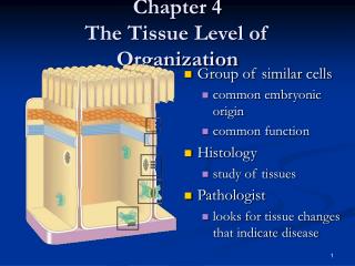 Chapter 4 The Tissue Level of Organization