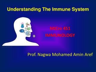 Understanding The Immune System