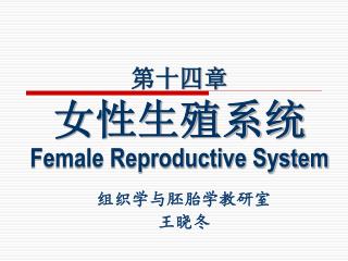 第十四章 女性生殖系统 Female Reproductive System
