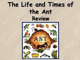 The Life and Times of the Ant Review
