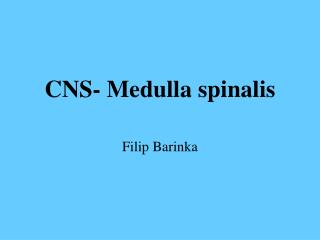 CNS- Medulla spinalis