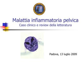 Malattia infiammatoria pelvica Caso clinico e review della letteratura