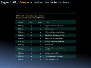 Segment 01, Commun à toutes les orientations