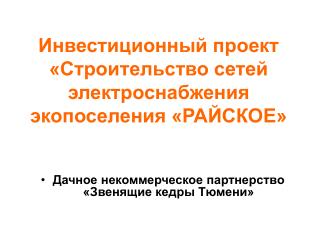 Инвестиционный проект «Строительство сетей электроснабжения экопоселения «РАЙСКОЕ»