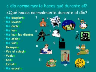 ¿Qué haces normalmente durante el día?