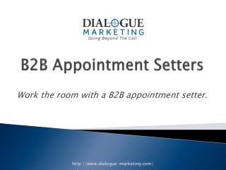 B2B Appointment Setters
