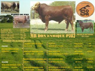 MR DON ENRIQUE P282