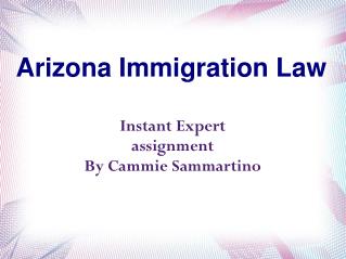 Arizona Immigration Law