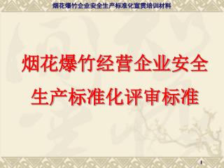 烟花爆竹经营企业 安全 生产标准化评审标准