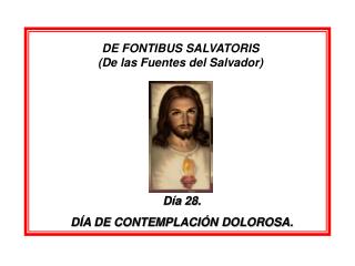 DE FONTIBUS SALVATORIS (De las Fuentes del Salvador)