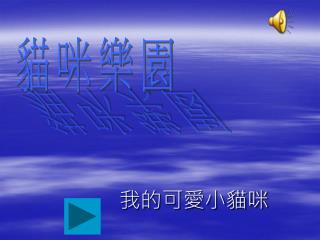 我的可愛小貓咪