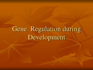 Gene Regulation during Development