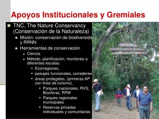 Apoyos Institucionales y Gremiales