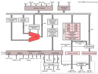 Central Processing Unit