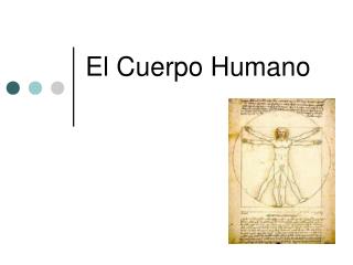 El Cuerpo Humano