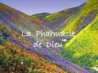 La Pharmacie de Dieu