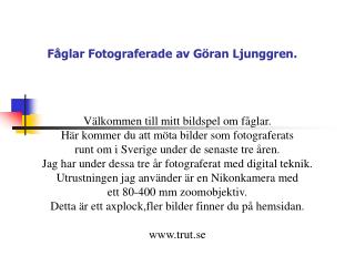 Fåglar Fotograferade av Göran Ljunggren.