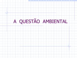 A QUESTÃO AMBIENTAL