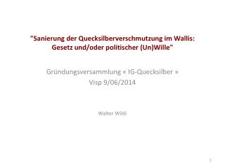 Gründungsversammlung « IG- Quecksilber  » Visp 9/06/2014