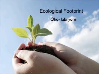 Ecological Footprint