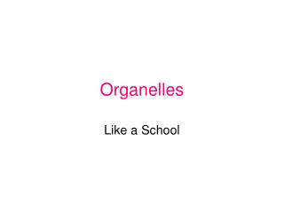 Organelles