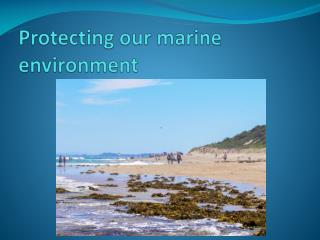 Protecting our marine environment