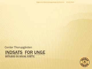 Indsats for unge Botilbud og social støtte