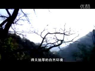 通山县珍稀濒危植物占湖北省珍稀濒危植物的 88.7﹪ ，占全国总数的 12.1﹪.