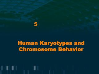 Human Karyotypes and Chromosome Behavior