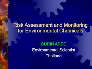 Risk Assessment and Monitoring for Environmental Chemicals