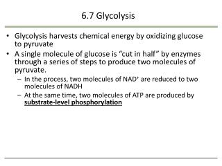 6.7 Glycolysis