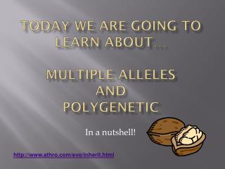 Today we are going to learn about… Multiple Alleles and Polygenetic