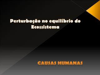 Perturbação no equilíbrio do Ecossistema