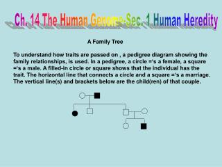 A Family Tree