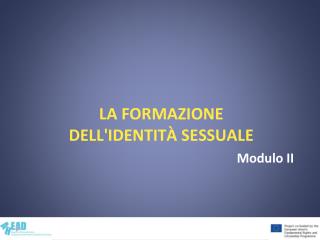 La formazione dell'identità sessuale