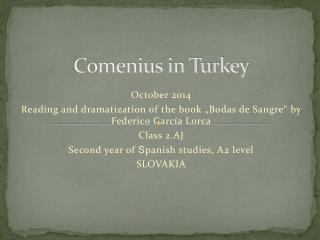Comenius in Turkey