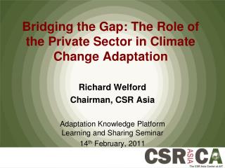 Bridging the Gap: The Role of the Private Sector in Climate Change Adaptation