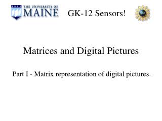 Matrices and Digital Pictures