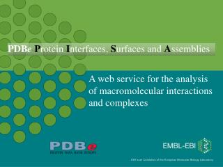 A web service for the analysis of macromolecular interactions and complexes