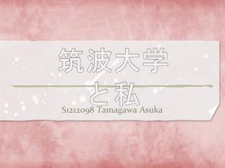 S1212098 T amagawa A suka