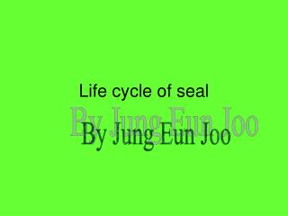 Life cycle of seal