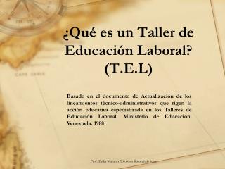 ¿ Qué es un Taller de Educación Laboral ? (T.E.L)