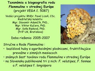 Taxonómia a biogeografia rodu Flammulina v strednej Európe (projekt VEGA č. 5087)