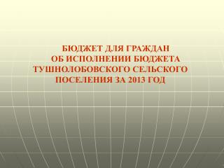 БЮДЖЕТ ДЛЯ ГРАЖДАН ОБ ИСПОЛНЕНИИ БЮДЖЕТА ТУШНОЛОБОВСКОГО СЕЛЬСКОГО ПОСЕЛЕНИЯ ЗА 2013 ГОД