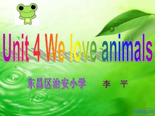 Unit 4 We love animals